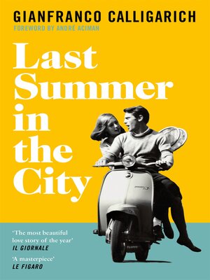 cover image of Last Summer in the City